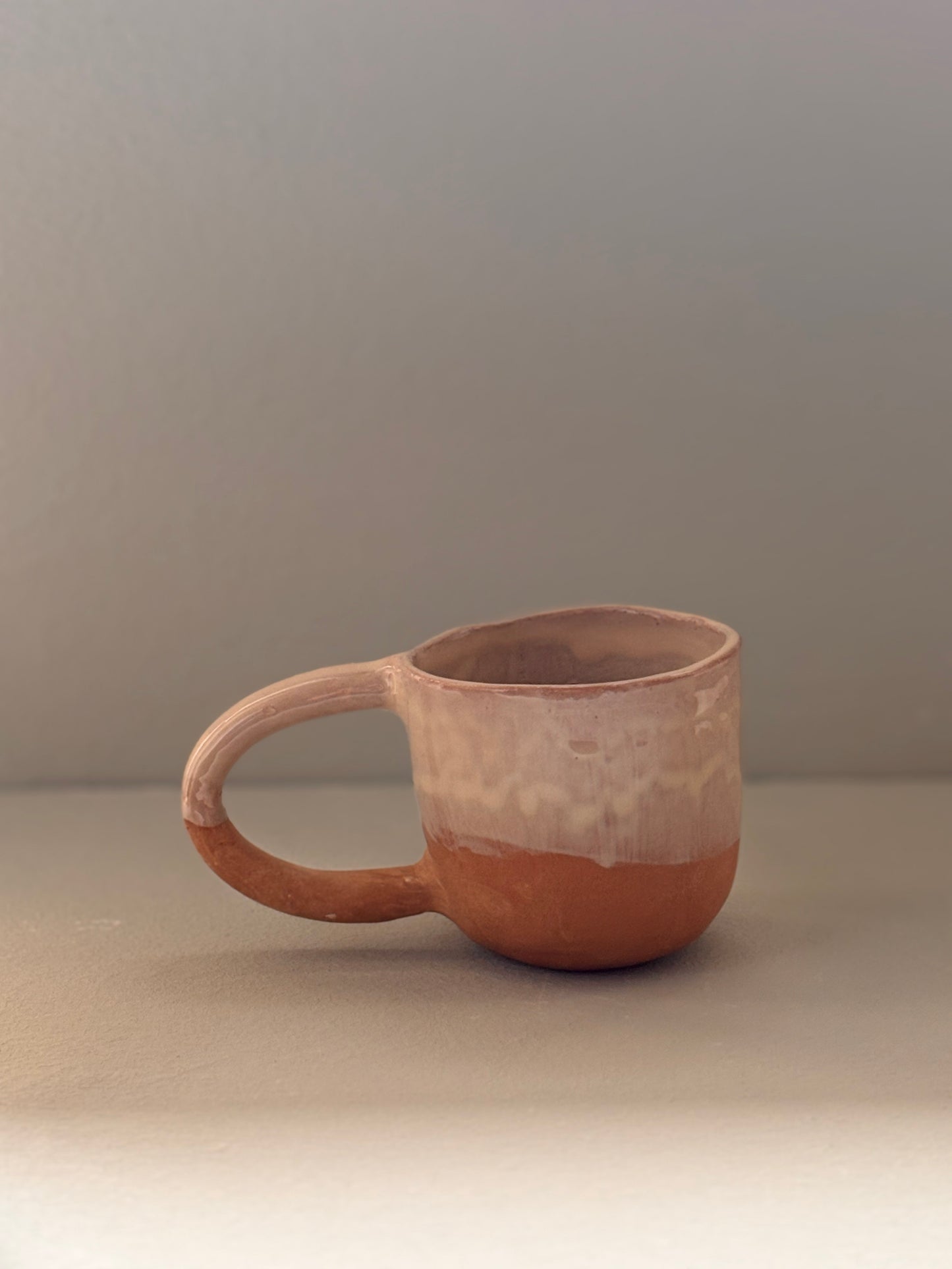 TAZZA CamiLLA